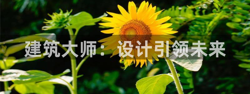 乐发平台彩票官网