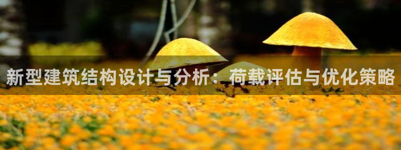 乐豪发平台在线