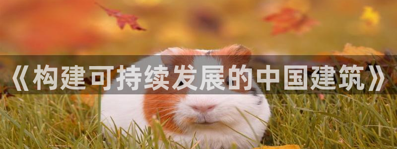 乐发国际平台官网