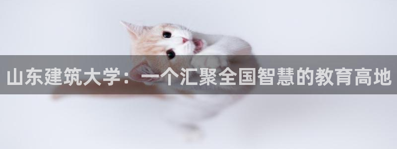 乐发快三彩票平台下载