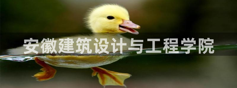 乐发平台靠谱吗：安徽建筑设计与工程学院