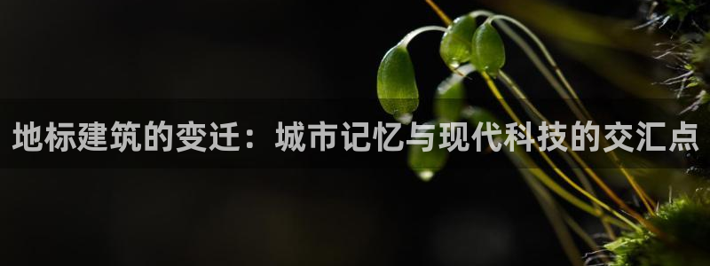 乐豪发官方娱乐平台