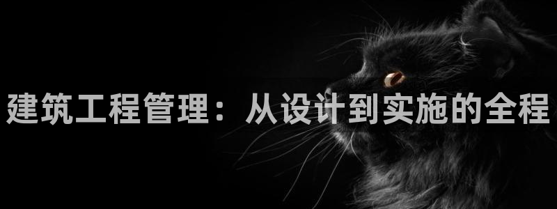 乐发旗下的平台有多少个