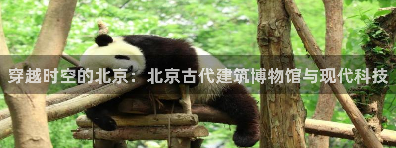 乐发平台注册资金多少钱