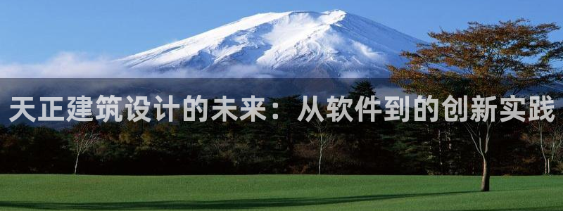 乐发是大平台吗