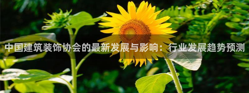 乐发平台怎么注销账户啊