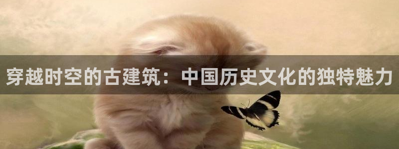 乐发彩票app平台怎么样