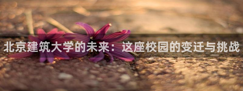 分期乐发政务短信平台