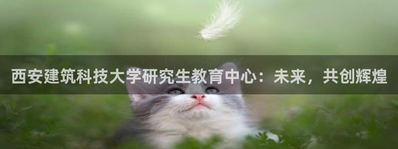 乐发平台赚钱技巧有哪些