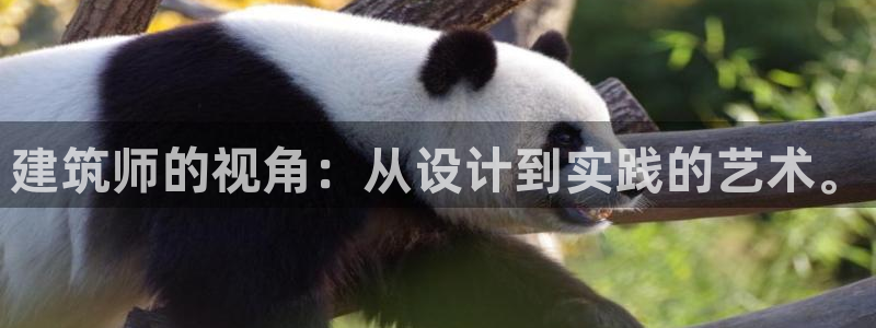 乐发彩票平台代理