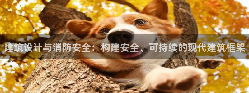 乐发Iv彩票官方平台