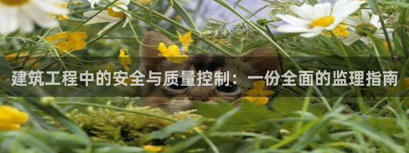 乐发乐发平台邀请码