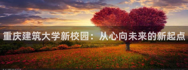 乐发平台网址是什么