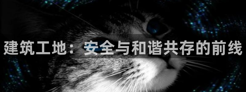 乐发平台多久了