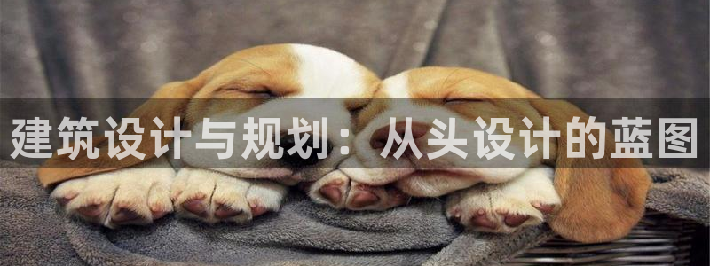 乐发体育平台怎么注册的