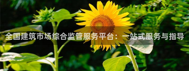 乐发彩票是什么平台