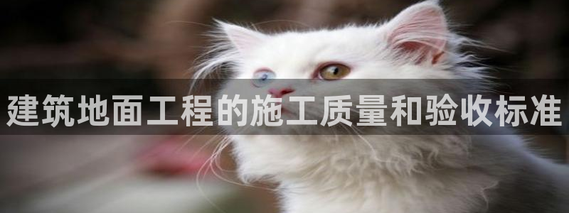 乐发彩票是什么平台