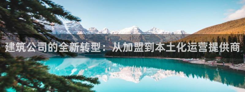 乐发平台多久了