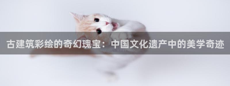 乐发传媒是什么平台